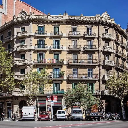 Sweett - Urgell-3